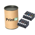 Canon PFI-300 kassettide komplekt 10 x 14ml (Printle)