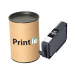 Canon PFI-300GY (4200C001) grey 14ml (Printle)
