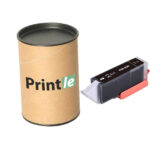 Canon PGI-530PGBK (6117C001) black 20ml (Printle)